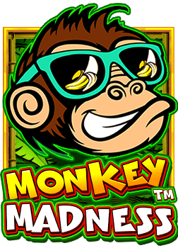 แอ พ สแกน สล็อต ฟรี สำหรับผู้เล่นสายเกมสล็อต